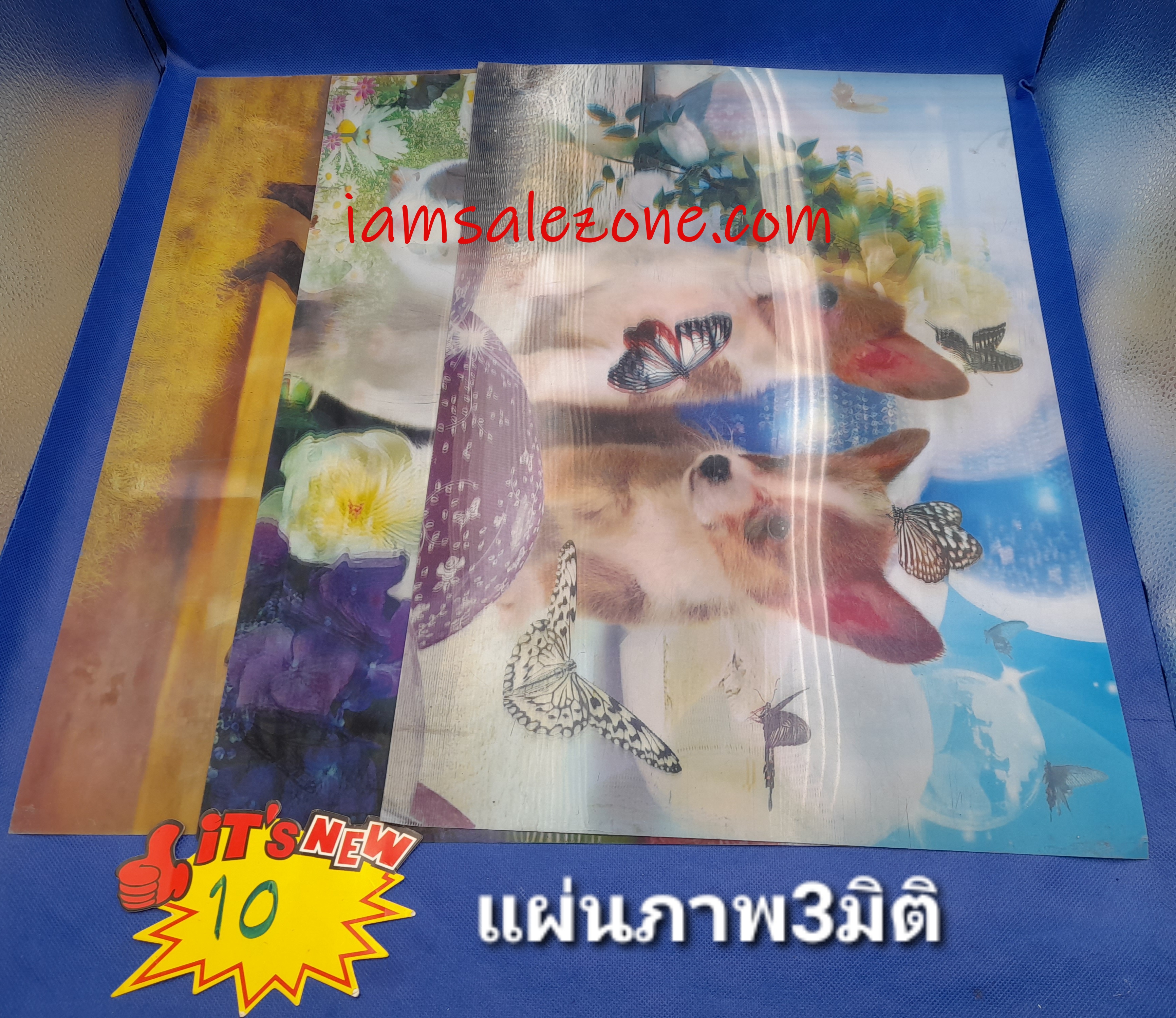 10 แผ่นภาพ 3 มิติ (โหล)