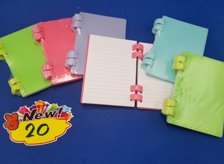 20 สมุดห่วงยักษ์ปก P ถุงซีล ST6172 (โหล)